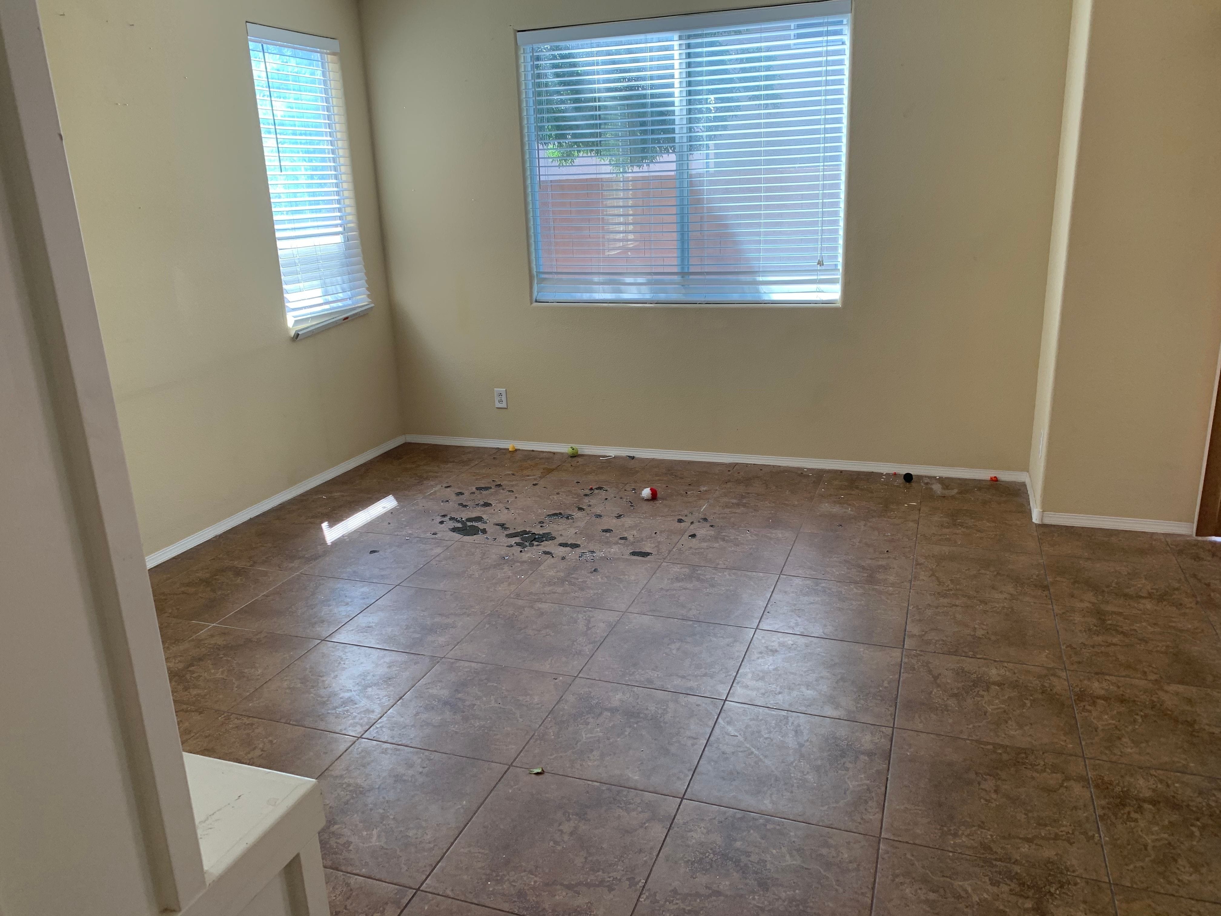 furniture removal nevada